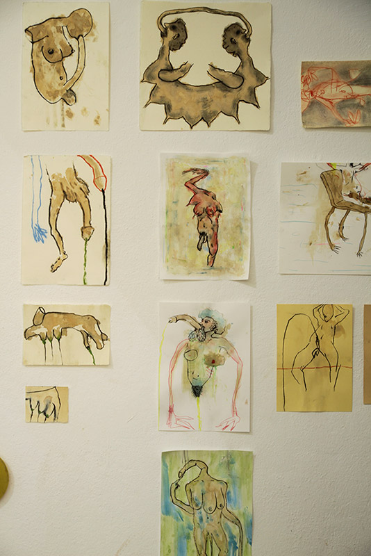 Parete con nudi e figure animali